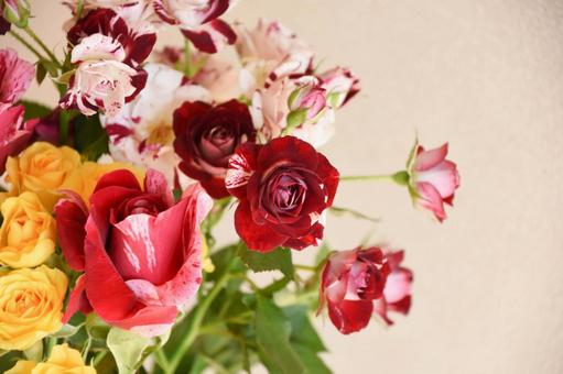 カラフルな薔薇 カラフルな薔薇の写真