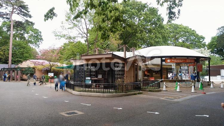 井の頭自然文化園　吉祥寺　東京 井の頭自然文化園,吉祥寺,東京の写真素材