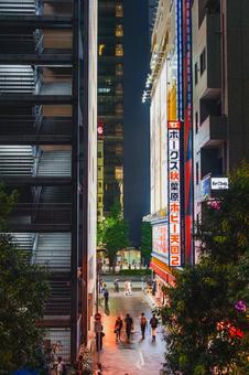 雨上がりの秋葉原の夜景 路地 雨上がりの秋葉原の夜景 路地 秋葉原,ネオン,夜景の写真素材