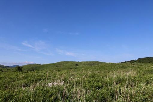 山口 秋吉台 山口 秋吉台 秋吉台,ジオパーク,山口の写真素材