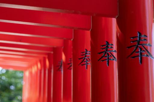 住吉神社の赤鳥居 住吉神社の赤鳥居 赤い鳥居,神社,信仰の写真素材