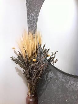 ドライフラワー ドライフラワー,白い壁,ホワイトの写真素材