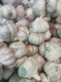 山積みニンニク 山積みニンニク ニンニク,野菜,スパイスの写真素材