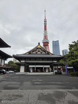 風景　東京　増上寺 風景,街並み,東京の写真素材