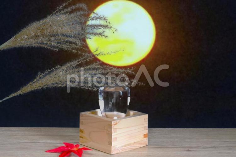 秋の夜の一杯 酒,枡,すすきの写真素材