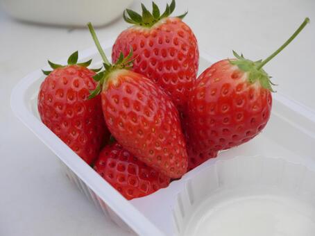 採れたていちごの写真