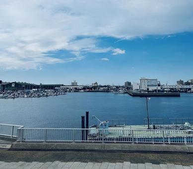 船橋親水公園の写真