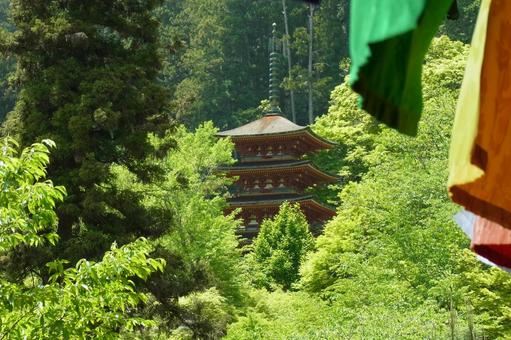 長谷寺 五重塔 五色幕 新緑 長谷寺 五重塔 五色幕 新緑の写真