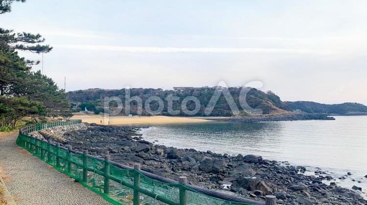 波戸岬の夕暮れ遊歩道 波戸岬,遊歩道,夕暮れの写真素材