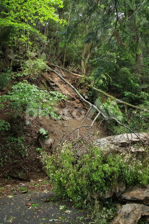 災害：落石と倒木 倒木,落石,土砂崩れの写真素材