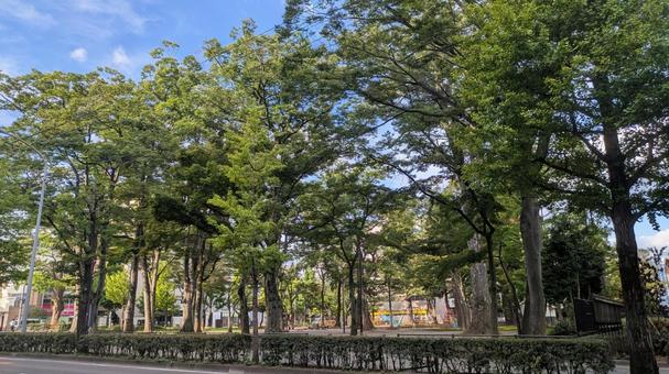 市街地の公園 市街地の公園の写真