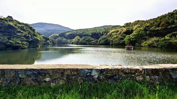 Photo, lake, lakeside, woods, 