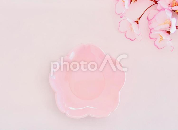 お皿　サクラ サクラ,春,お皿の写真素材