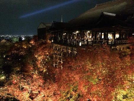清水寺 清水寺の写真