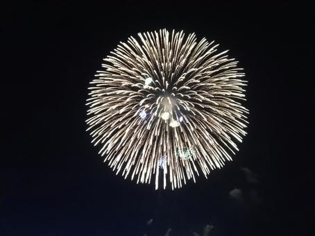 花火 花火の写真