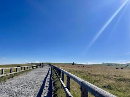 夏の美ヶ原、広大な草原を歩く 夏の美ヶ原、広大な草原を歩く 長野県,美ヶ原高原,夏の写真素材