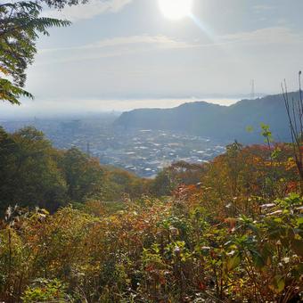 山からの景色の写真