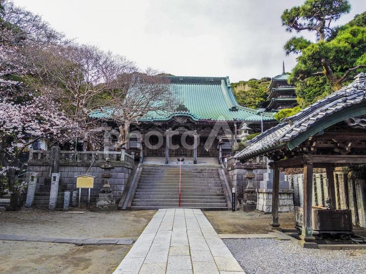 【神奈川県】藤沢市・龍口寺 龍口寺,寺社仏閣,江ノ島の写真素材