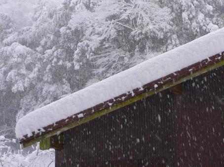 大雪で屋根に積もった雪1 大雪で屋根に積もった雪1の写真