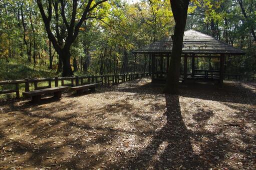 公園の東屋 公園の東屋の写真