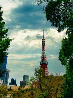 東京タワー 東京タワー 東京タワー,塔,電波塔の写真素材