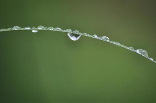 水滴の写真