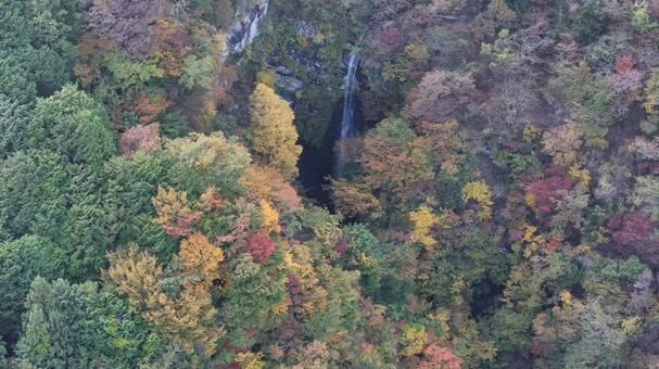 山紅葉　穴観音滝001 山,紅葉,山紅葉の写真素材