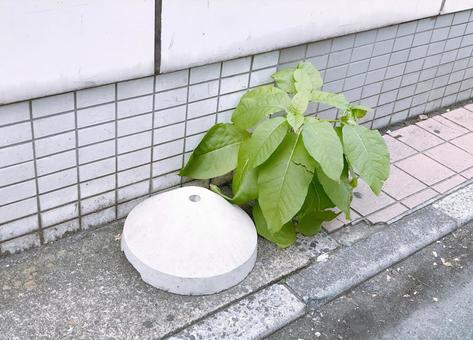 旗立てブロック 旗立てブロック,ブロック,土台の写真素材