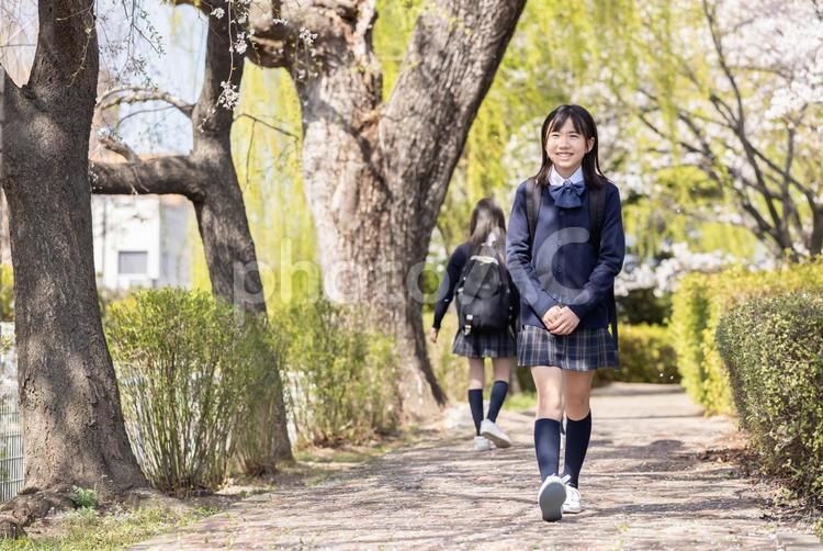 歩いて通学する学生 女子学生,学生,制服の写真素材