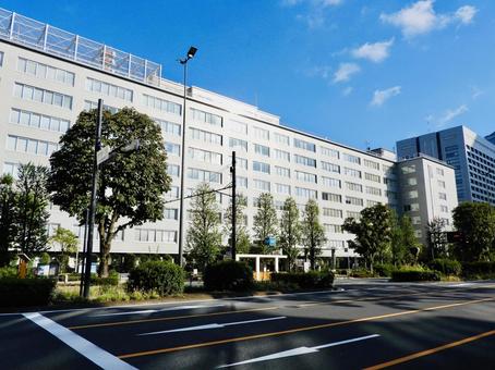 農林水産省本省 農林水産省,水産庁,林野庁の写真素材