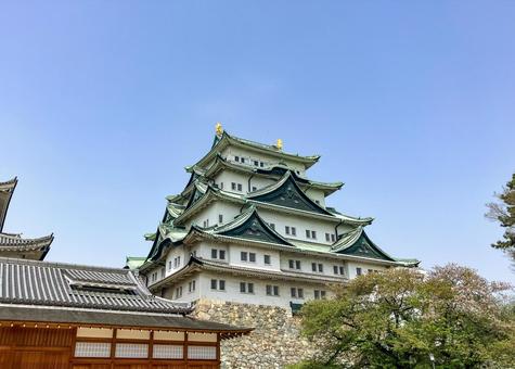 名古屋城 外観 名古屋城 外観 名古屋城,名古屋,城の写真素材