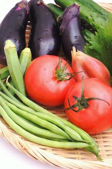 夏野菜 夏野菜 夏野菜,野菜,食材の写真素材