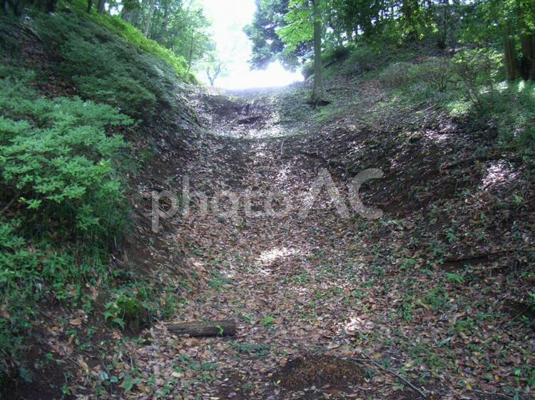 山中城西の丸畝堀 三島,北条氏,山中城の写真素材