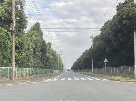 道路 道路 風景,道,道路の写真素材