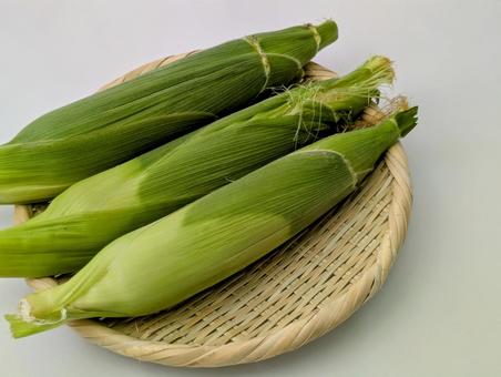 採れたての夏野菜(とうもろこし)7 採れたての夏野菜(とうもろこし)7 夏,夏野菜,トウモロコシの写真素材