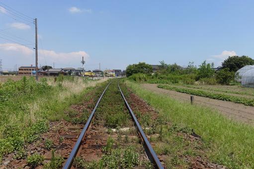 草だらけのローカル線の線路 草だらけのローカル線の線路 線路,電車,ローカル線の写真素材