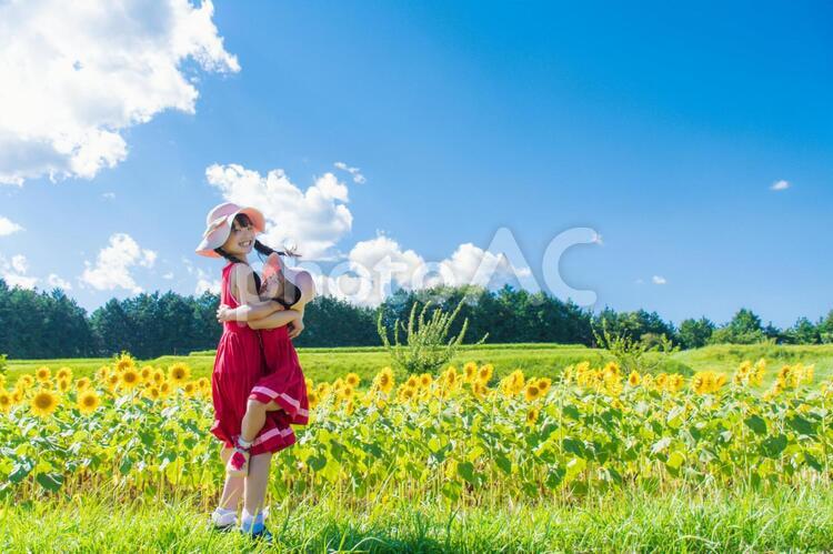 ひまわり畑と仲良し姉妹 向日葵,子供,笑顔の写真素材