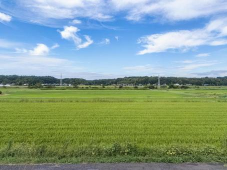 京成線車窓より 九月の佐倉市角来の田園 京成線車窓より 九月の佐倉市角来の田園の写真