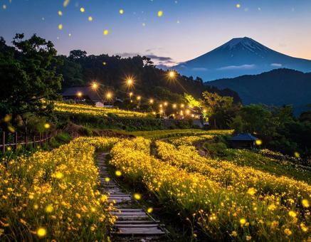 ホタルのいる田園風景 ホタルのいる田園風景の写真