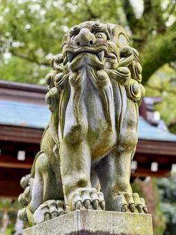 千栗八幡宮 千栗八幡宮,神社,パワースポットの写真素材