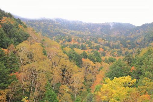 錦の山 錦の山の写真