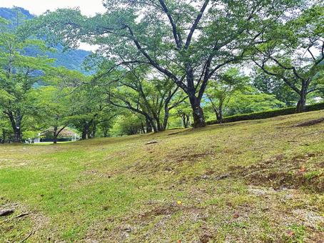 下北山公園 夏の公園 下北山公園 夏の公園 奈良県下北山村,アウトドア,温泉の写真素材