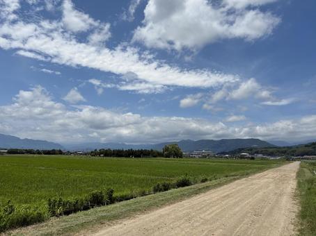 田園風景 のどか 田園風景 のどかの写真