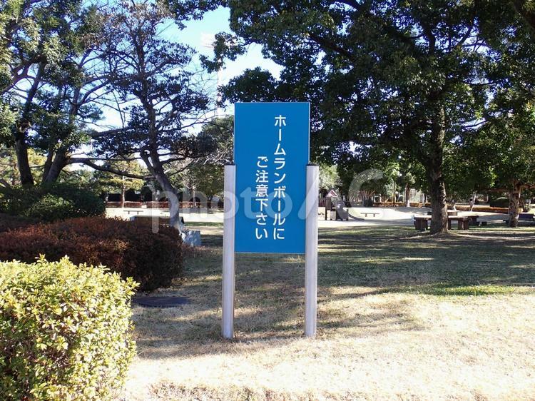 ホームラン 草薙運動場,静岡,運動場の写真素材