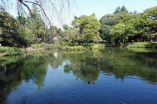 池の写真