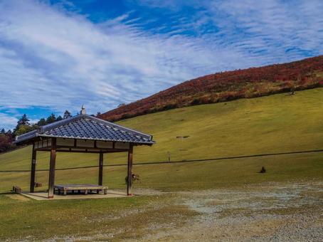 【奈良県】奈良市・若草山 奈良公園,鹿,若草山の写真素材