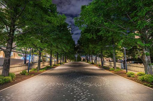 都市夜景 都市夜景 都市夜景,夜景,夜の写真素材