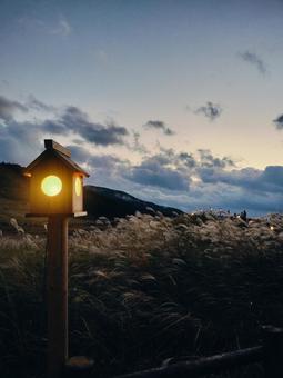 秋の曽爾高原 曽爾高原,ススキ,ライトアップの写真素材