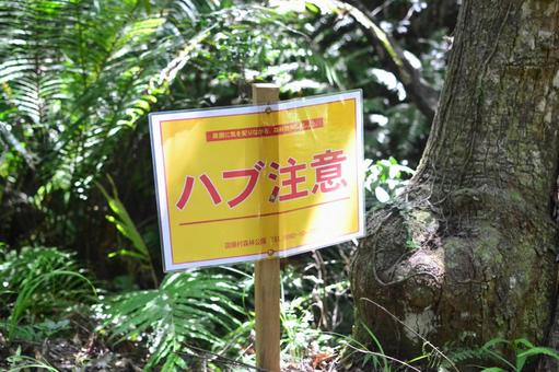 やんばるのハブ注意看板 やんばる,沖縄,ハブ注意の写真素材