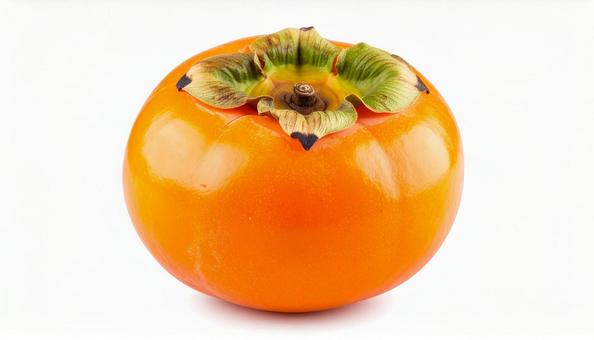 富有柿の写真の写真